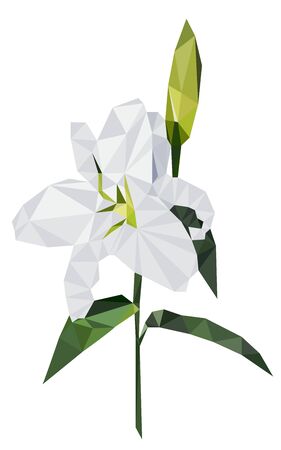 Colorful polygonal style design of white lilyのイラスト素材