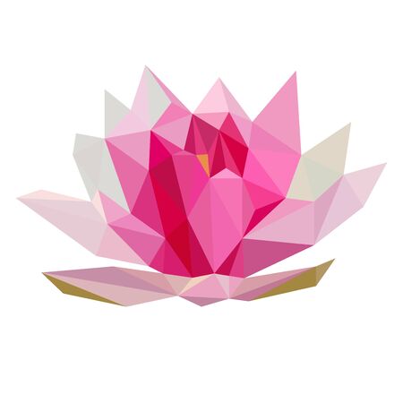 Colorful polygonal style design of pink lotus flowerのイラスト素材