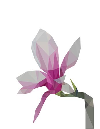 Colorful polygonal style design of magnolia flowerのイラスト素材