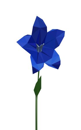 Colorful polygonal style design of blue balloon flower (platycodon grandiflorus)のイラスト素材