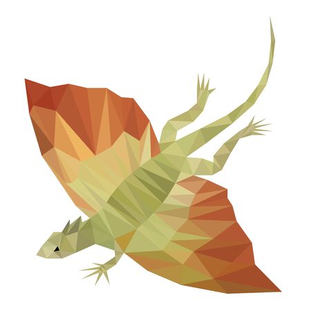 Colorful polygonal style design of  flying dragon lizardのイラスト素材