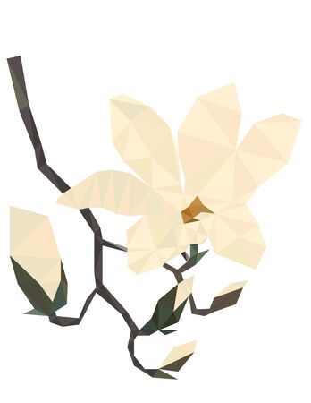 Colorful polygonal style design of blossoming magnolia flowerのイラスト素材