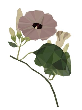 Colorful polygonal style design of blossoming dusty pink flowerのイラスト素材