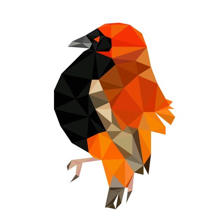 Colorful polygonal style design of orange and black birdのイラスト素材