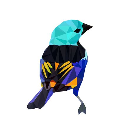 Colorful polygonal style design of little tropical bird in blue and turquoise colorsのイラスト素材
