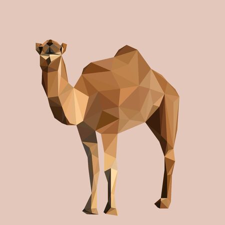 Colorful polygonal style design of wild camel in yellow colorsのイラスト素材