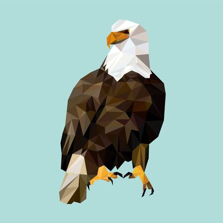 Colorful polygonal style design of wild bird eagleのイラスト素材