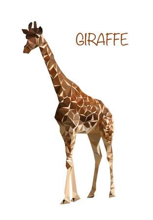 Colorful polygonal style design of wild giraffe in brown colorsのイラスト素材