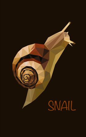 Colorful polygonal style design of forest snail in brown colors on a black backgroundのイラスト素材