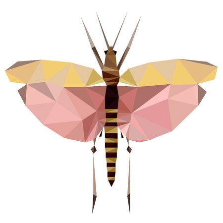 Colorful polygonal illustration of a pink bug, beetle, insect with wingsのイラスト素材