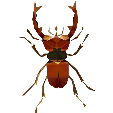 Colorful polygonal illustration of a brown bug, beetle, insectのイラスト素材