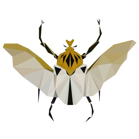 Colorful polygonal illustration of a yellow bug, beetle, insect with a wingsのイラスト素材