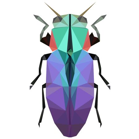 Colorful polygonal illustration of a violet bug, beetle, insectのイラスト素材