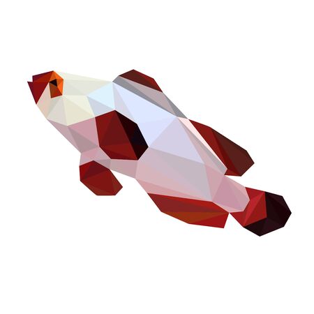 Colorful polygonal style design of silver and red fishのイラスト素材
