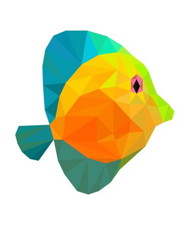Colorful polygonal style design of orange and blue colored fishのイラスト素材
