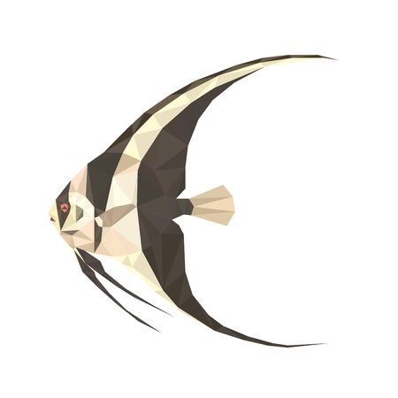 Colorful polygonal style design of black and white flat fishのイラスト素材