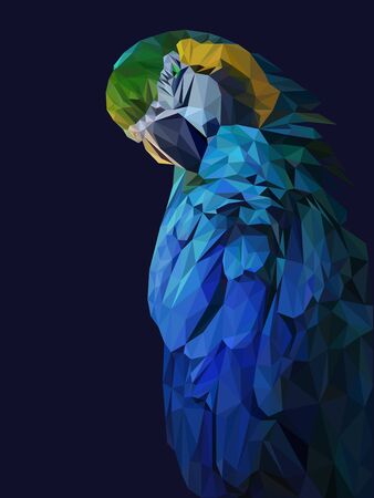 Colorful polygonal style design of blue parrot birdのイラスト素材