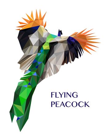 Colorful polygonal style design of wild gorgeous peacock birdのイラスト素材
