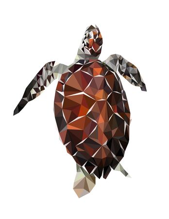 Colorful polygonal style design of tropical spotty turtleのイラスト素材