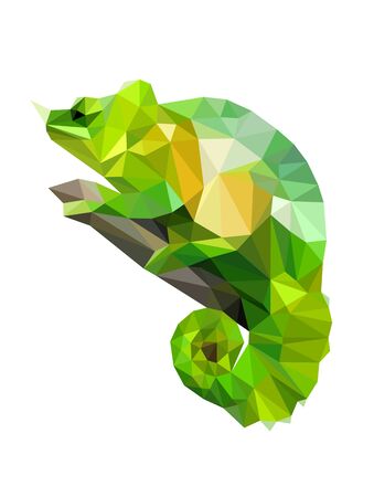 Colorful polygonal style design of wild reptile chameleonのイラスト素材