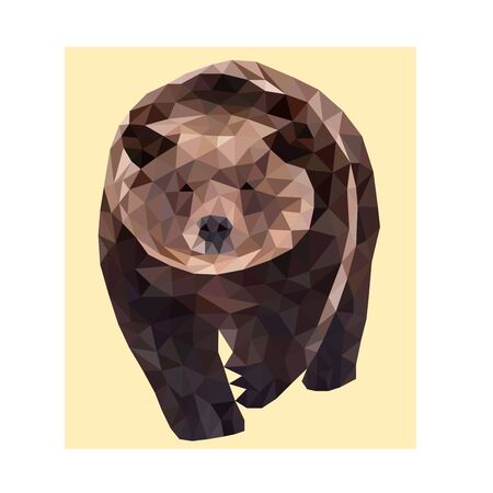 Polygon brown wild vector bearのイラスト素材