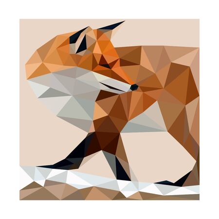 Polygon vector line wild foxのイラスト素材