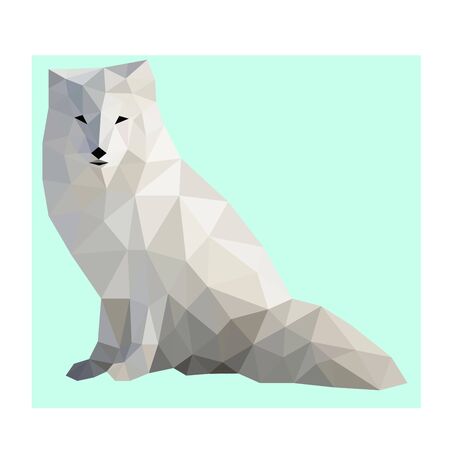 Low poly wild vector polar foxのイラスト素材