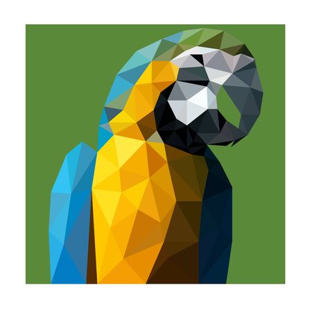 Polygonal wild blue and yellow parrotのイラスト素材