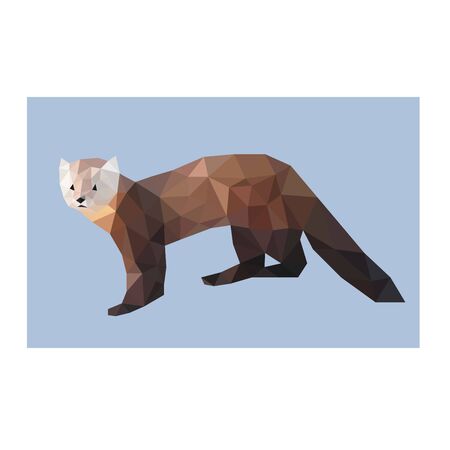 Low poly wild vector sableのイラスト素材