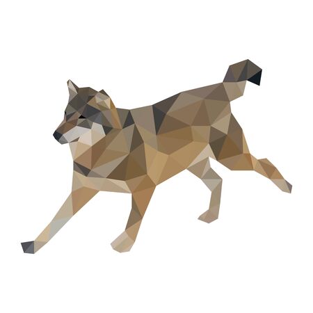 Colorful polygonal vector style design of wolfのイラスト素材