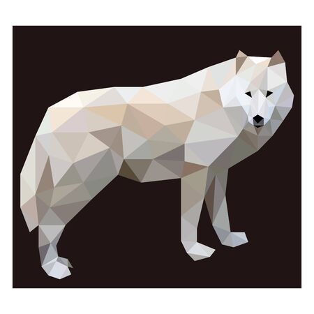 Colorful polygonal style design of wolfのイラスト素材