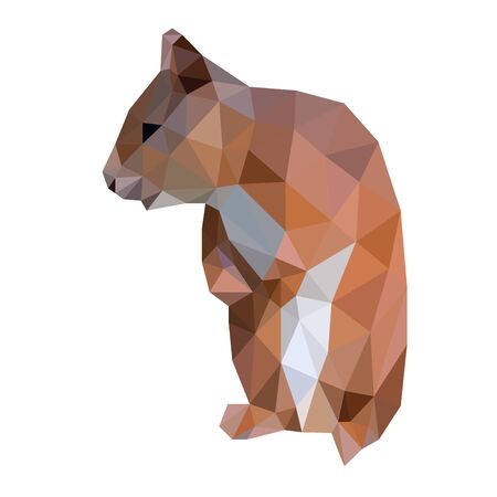 Low poly wild vector squirrelのイラスト素材
