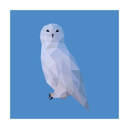 Low poly wild vector owlのイラスト素材
