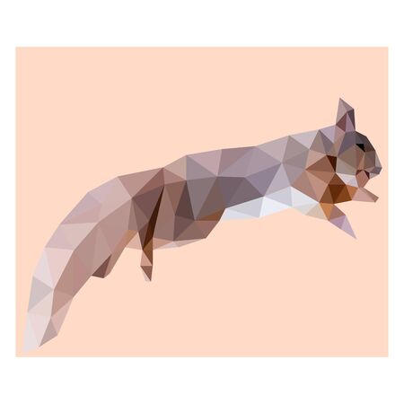 Low poly illustration of squirrelのイラスト素材
