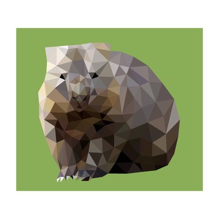 Low poly wild vector vombatのイラスト素材