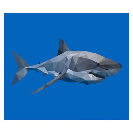 Colorful polygonal style design of sharkのイラスト素材