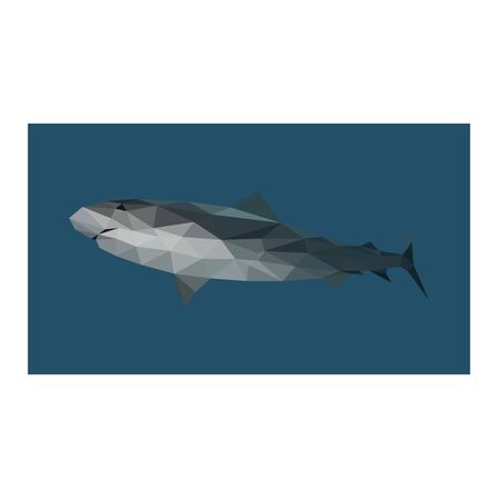 Colorful polygonal style design of sharkのイラスト素材
