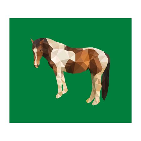 Polygon triangle vector farm horseのイラスト素材