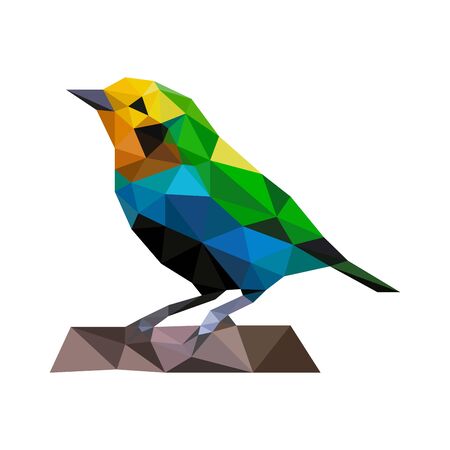 Polygonal art beauty wild colorful birdのイラスト素材