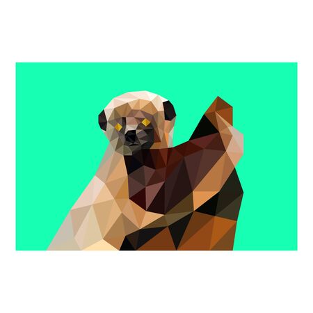 Colorful polygonal style design of lemurのイラスト素材