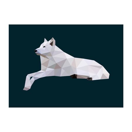 Low poly illustration of white wolfのイラスト素材