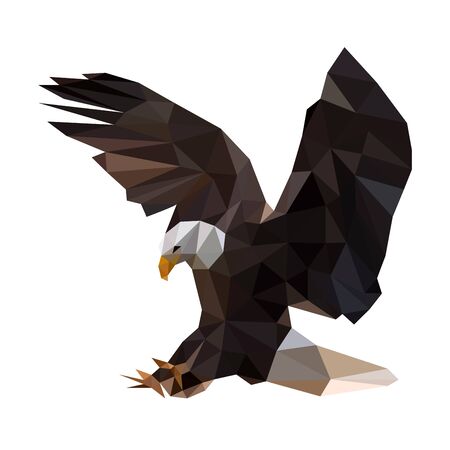Low poly illustration of black eagleのイラスト素材