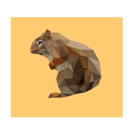 Low poly illustration of squirrelのイラスト素材