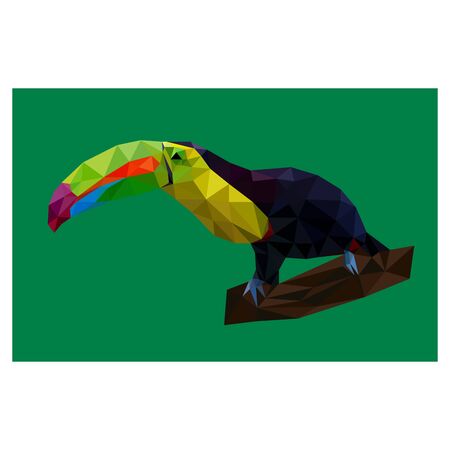 Colorful polygonal design of tropical tucan birdのイラスト素材