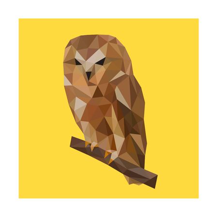 Low poly illustration of brown owlのイラスト素材