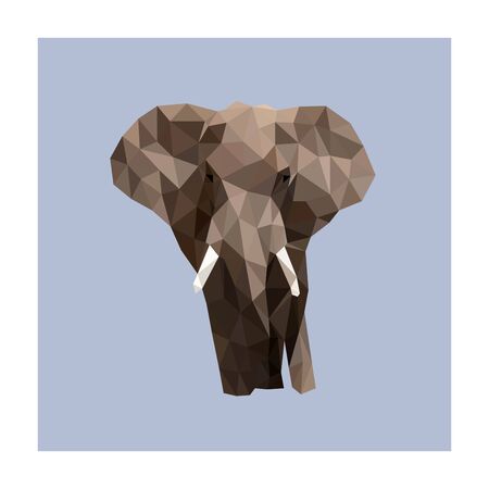 Colorful polygonal style design of elephantのイラスト素材
