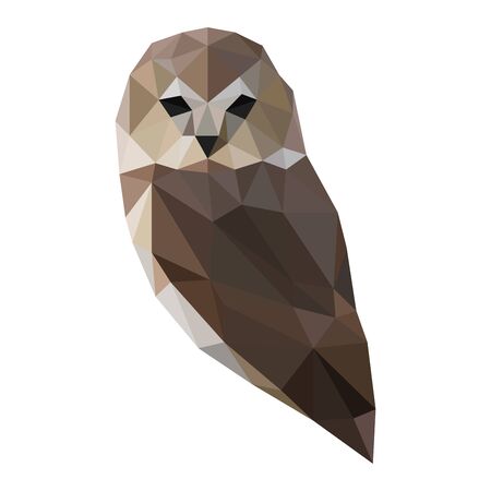 Low poly illustration of owlのイラスト素材