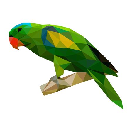 Polygonal wild color green parrotのイラスト素材