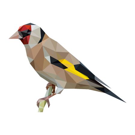 Polygonal art beauty wild brown birdのイラスト素材