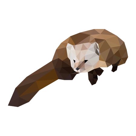 Polygon triangle vector art martenのイラスト素材